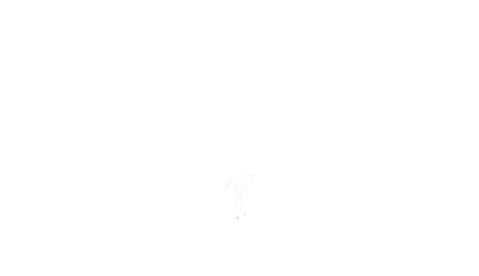 Dynamic Gamma Academy Logo